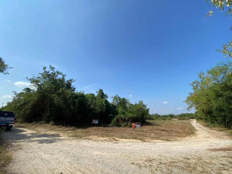 ใช่ 💖 ที่ดิน เมืองลำพูน ราคาพิเศษ! 💖 รูปที่ 2