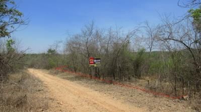 💖 ที่ดิน บ้านโฮ่ง ราคาพิเศษ! 💖