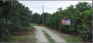 ใช่ 💖 ที่ดิน บ้านโฮ่ง ราคาพิเศษ! 💖 รูปที่ 1