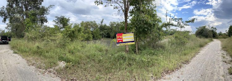 ใช่ 💖 ที่ดิน บ้านธิ ราคาพิเศษ! 💖 รูปที่ 2