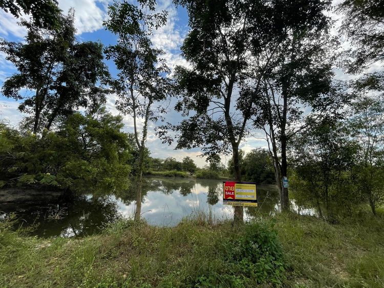 💖 ที่ดิน บ้านธิ ราคาพิเศษ! 💖