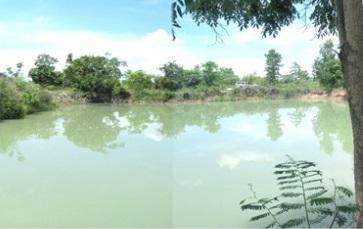 ใช่ 💖 ที่ดิน บ้านธิ ราคาพิเศษ! 💖 รูปที่ 3