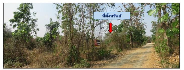 ใช่ 💖 ที่ดิน เมืองลำพูน ราคาพิเศษ! 💖 รูปที่ 2