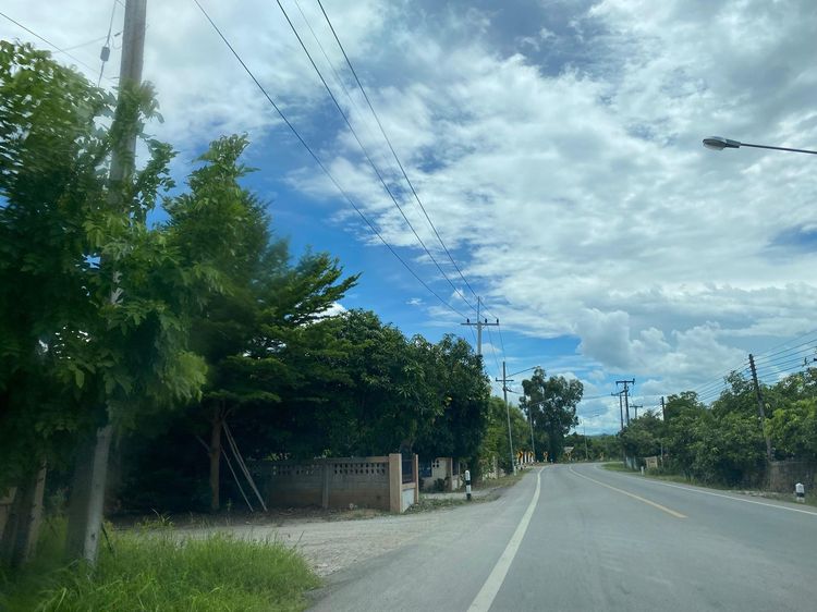 ใช่ 💖 ที่ดิน บ้านโฮ่ง ราคาพิเศษ! 💖 รูปที่ 4