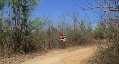 💖 ที่ดิน บ้านโฮ่ง ราคาพิเศษ! 💖