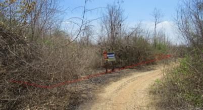 💖 ที่ดิน บ้านโฮ่ง ราคาพิเศษ! 💖