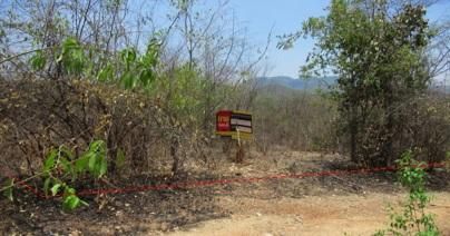 💖 ที่ดิน บ้านโฮ่ง ราคาพิเศษ! 💖