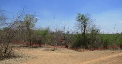 ใช่ 💖 ที่ดิน บ้านโฮ่ง ราคาพิเศษ! 💖