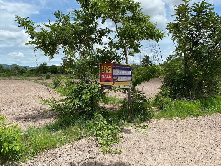 💖 ที่ดิน เมืองลำพูน ราคาพิเศษ! 💖