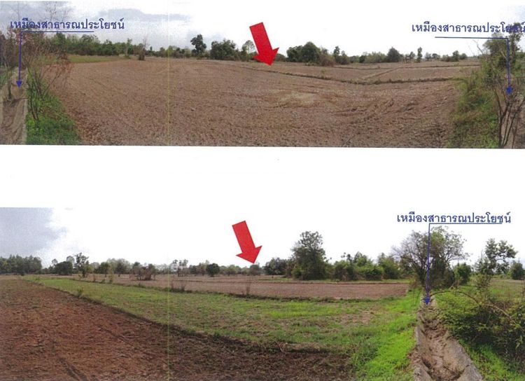 ใช่ 💖 ที่ดิน เมืองลำพูน ราคาพิเศษ! 💖 รูปที่ 4