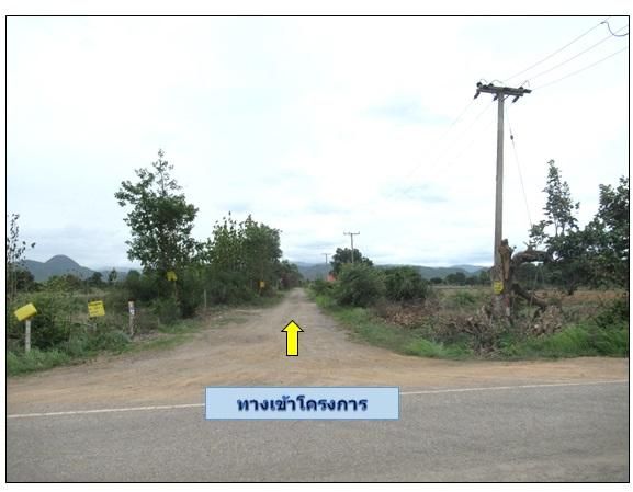 ใช่ 💖 ที่ดิน เมืองลำพูน ราคาพิเศษ! 💖 รูปที่ 3