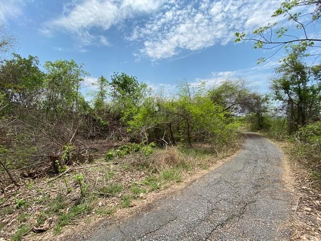 ใช่ 💖 ที่ดิน เมืองลำพูน ราคาพิเศษ! 💖 รูปที่ 3