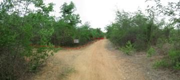 ใช่ 💖 ที่ดิน บ้านโฮ่ง ราคาพิเศษ! 💖