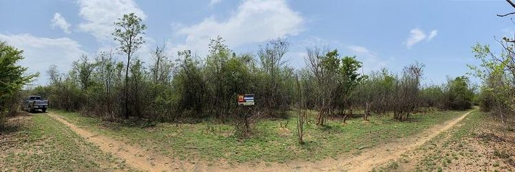 ใช่ 💖 ที่ดิน บ้านโฮ่ง ราคาพิเศษ! 💖