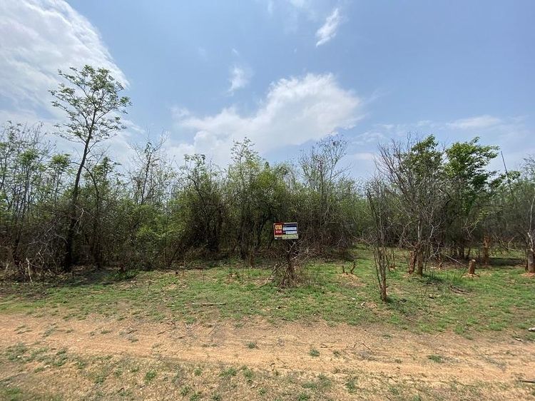 ใช่ 💖 ที่ดิน บ้านโฮ่ง ราคาพิเศษ! 💖 รูปที่ 2