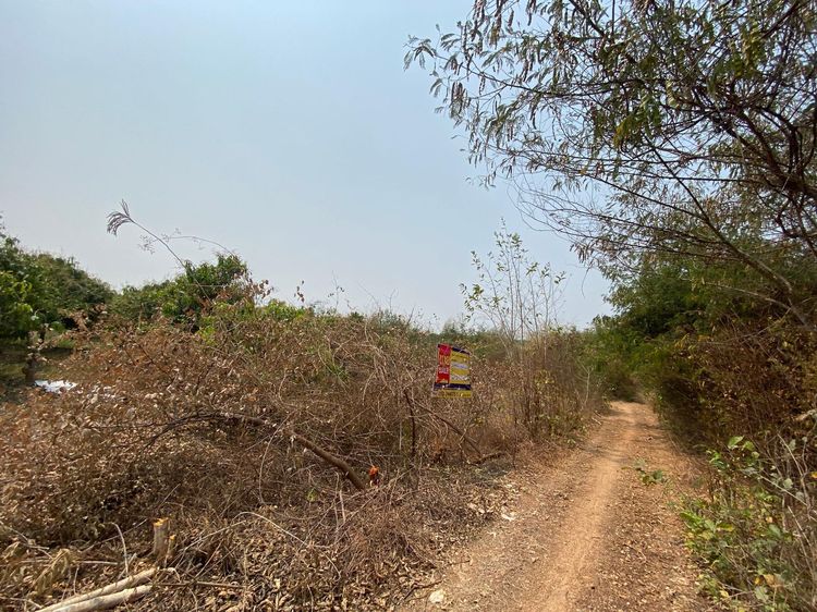 ใช่ 💖 ที่ดิน บ้านโฮ่ง ราคาพิเศษ! 💖 รูปที่ 2