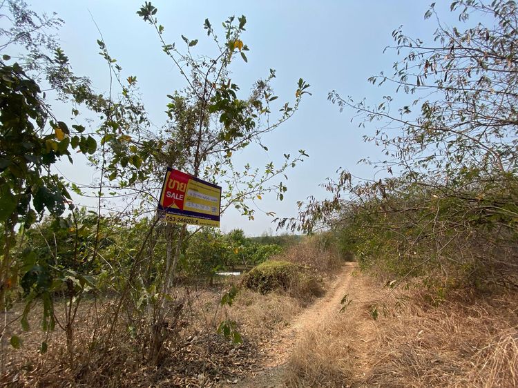 ใช่ 💖 ที่ดิน บ้านโฮ่ง ราคาพิเศษ! 💖 รูปที่ 4