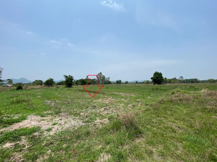 ใช่ 💖 ที่ดิน เมืองลำพูน ราคาพิเศษ! 💖 รูปที่ 4