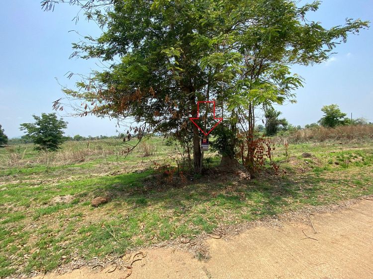 ใช่ 💖 ที่ดิน เมืองลำพูน ราคาพิเศษ! 💖 รูปที่ 2