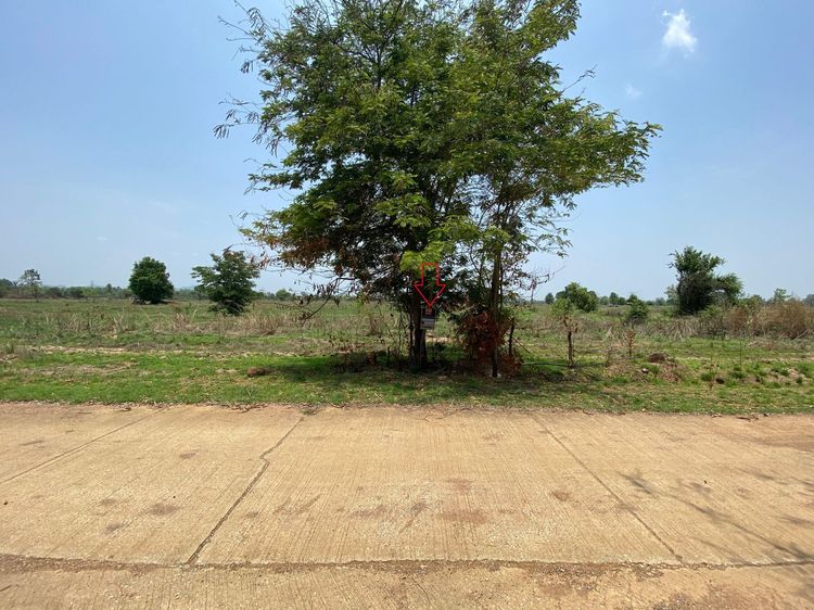 💖 ที่ดิน เมืองลำพูน ราคาพิเศษ! 💖