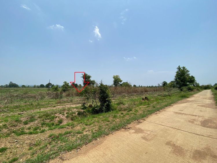 ใช่ 💖 ที่ดิน เมืองลำพูน ราคาพิเศษ! 💖 รูปที่ 2