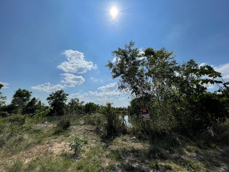 💖 ที่ดิน บ้านธิ ราคาพิเศษ! 💖