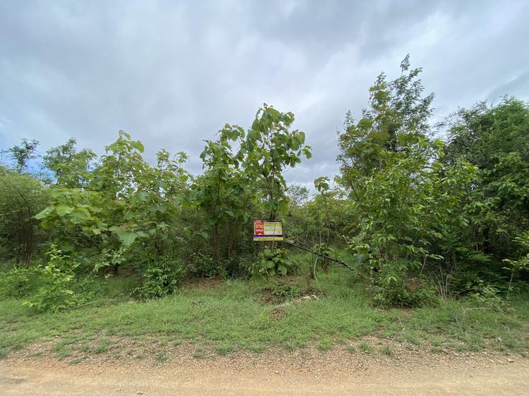 ใช่ 💖 ที่ดิน บ้านโฮ่ง ราคาพิเศษ! 💖