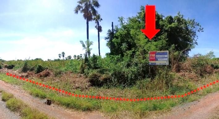 ใช่ 💖 ที่ดิน นครชัยศรี ราคาพิเศษ! 💖 รูปที่ 3