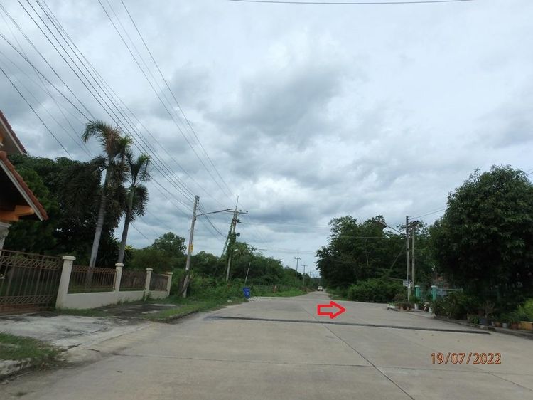 ใช่ 💖 ที่ดิน นครชัยศรี ราคาพิเศษ! 💖 รูปที่ 2