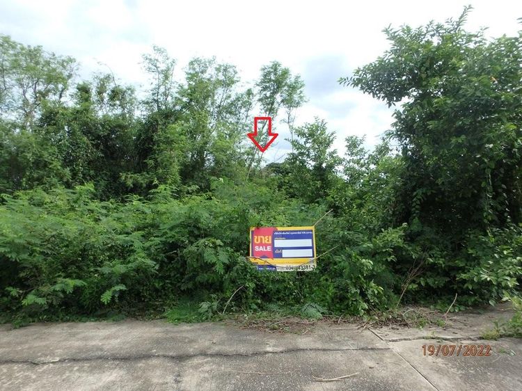 ใช่ 💖 ที่ดิน นครชัยศรี ราคาพิเศษ! 💖 รูปที่ 4