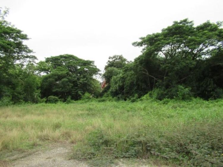 āđāļāđ ð āļāļĩāđāļāļīāļ āļāļēāļāđāļĨāļ āļĢāļēāļāļēāļāļīāđāļĻāļĐ! ð āļĢāļđāļāļāļĩāđ 3