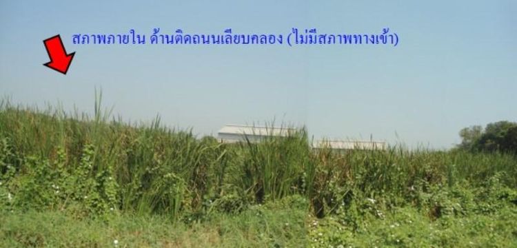 ใช่ 💖 ที่ดิน บางเลน ราคาพิเศษ! 💖