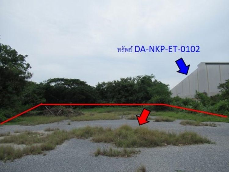 ใช่ 💖 ที่ดิน บางเลน ราคาพิเศษ! 💖 รูปที่ 4