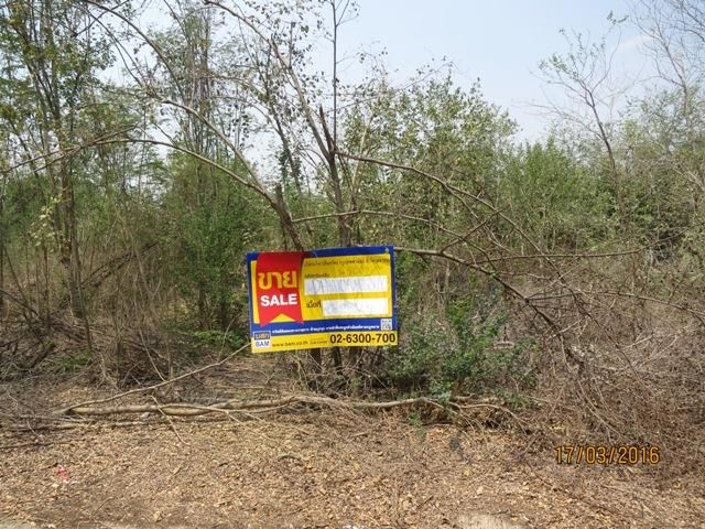 ใช่ 💖 ที่ดิน ไทรน้อย ราคาพิเศษ! 💖