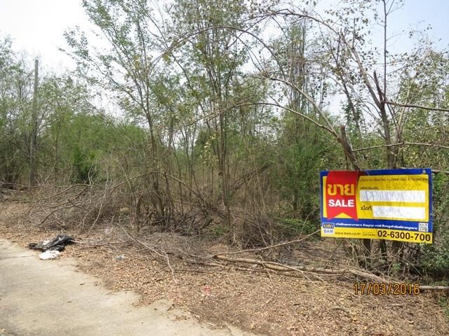 ใช่ 💖 ที่ดิน ไทรน้อย ราคาพิเศษ! 💖 รูปที่ 2