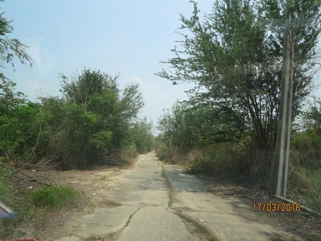 ใช่ 💖 ที่ดิน ไทรน้อย ราคาพิเศษ! 💖 รูปที่ 4