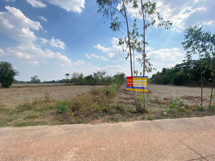 ใช่ 💖 ที่ดิน นาแก ราคาพิเศษ! 💖 รูปที่ 2