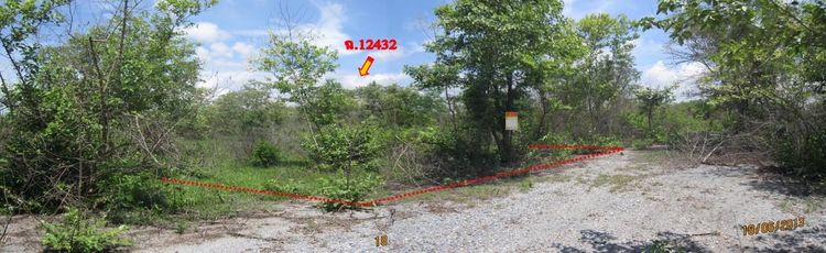 ใช่ 💖 ที่ดิน ขามทะเลสอ ราคาพิเศษ! 💖 รูปที่ 3