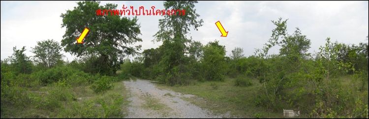 ใช่ 💖 ที่ดิน ขามทะเลสอ ราคาพิเศษ! 💖 รูปที่ 2