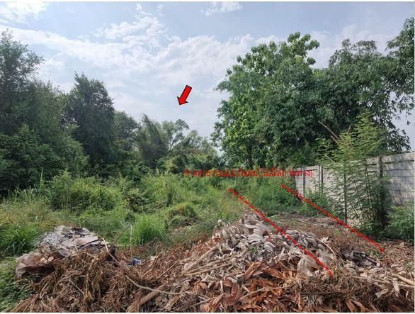 ใช่ 💖 ที่ดิน เมืองนครสวรรค์ ราคาพิเศษ! 💖 รูปที่ 2