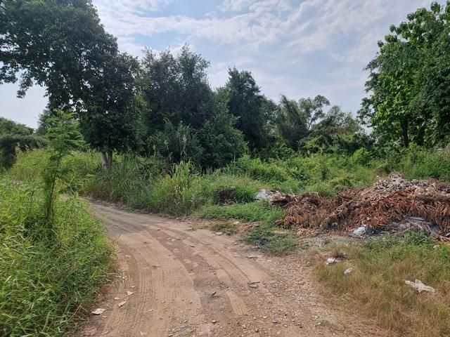 ใช่ 💖 ที่ดิน เมืองนครสวรรค์ ราคาพิเศษ! 💖 รูปที่ 3