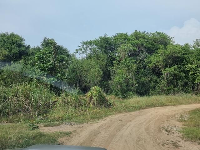 ใช่ 💖 ที่ดิน เมืองนครสวรรค์ ราคาพิเศษ! 💖 รูปที่ 4