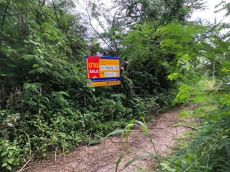 💖 ที่ดิน ศรีเทพ ราคาพิเศษ! 💖