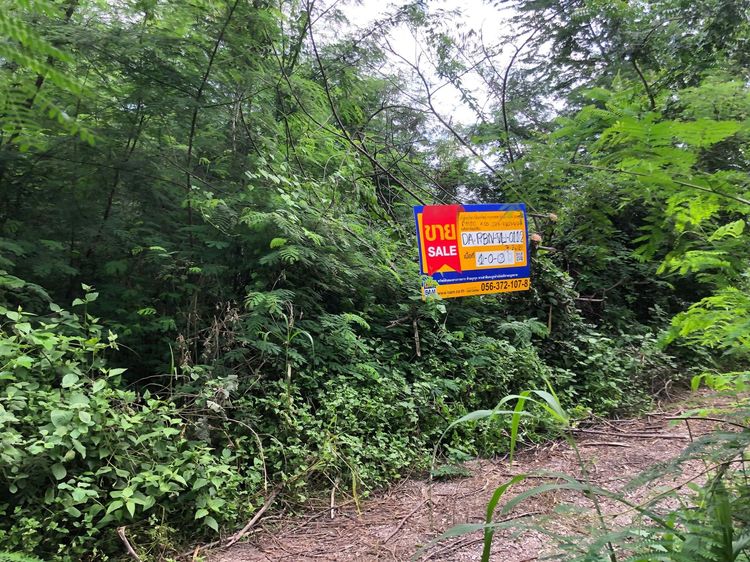 ใช่ 💖 ที่ดิน ศรีเทพ ราคาพิเศษ! 💖 รูปที่ 3