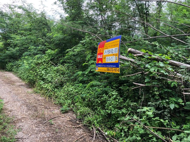 ใช่ 💖 ที่ดิน ศรีเทพ ราคาพิเศษ! 💖 รูปที่ 2