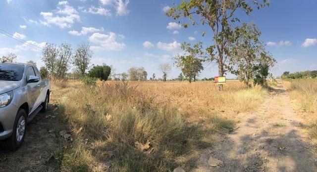 ใช่ 💖 ที่ดิน ศรีเทพ ราคาพิเศษ! 💖 รูปที่ 3