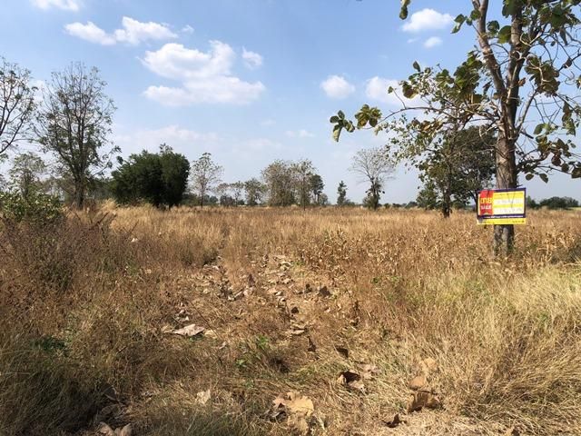 ใช่ 💖 ที่ดิน ศรีเทพ ราคาพิเศษ! 💖 รูปที่ 4