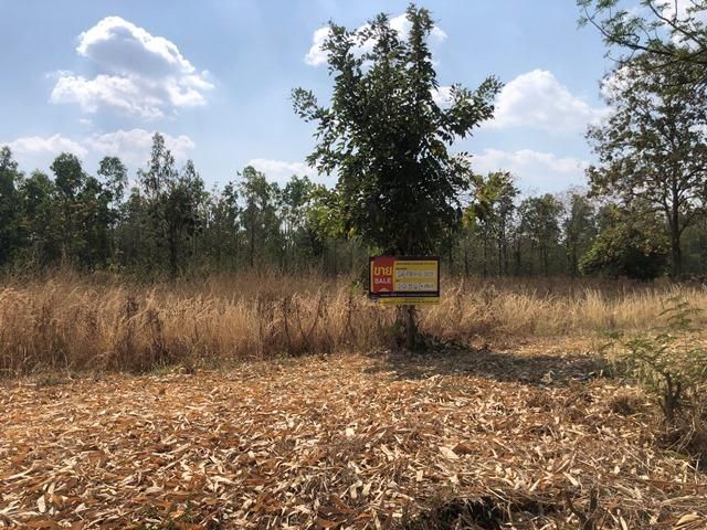 💖 ที่ดิน ศรีเทพ ราคาพิเศษ! 💖