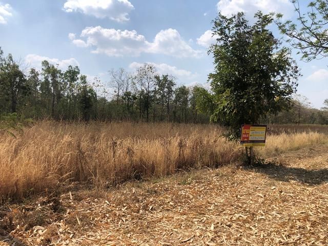 ใช่ 💖 ที่ดิน ศรีเทพ ราคาพิเศษ! 💖 รูปที่ 2