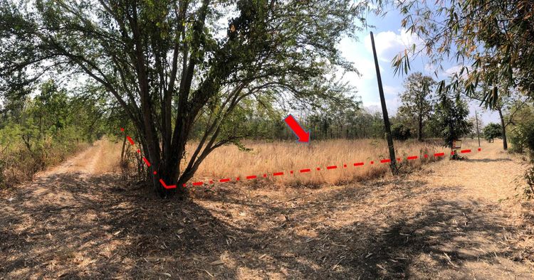 ใช่ 💖 ที่ดิน ศรีเทพ ราคาพิเศษ! 💖 รูปที่ 3